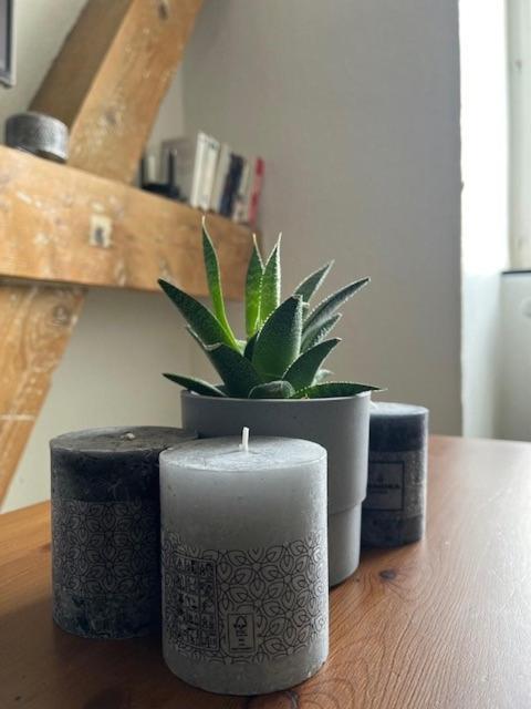 Cosy Rent Strasbourg Orangerie Tv Wifi Cathedrale Apartment Bagian luar foto