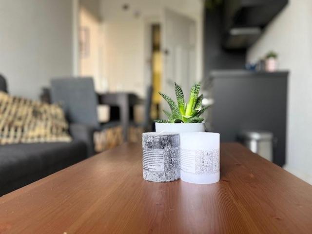 Cosy Rent Strasbourg Orangerie Tv Wifi Cathedrale Apartment Bagian luar foto